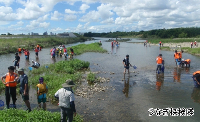 うなぎ探検隊