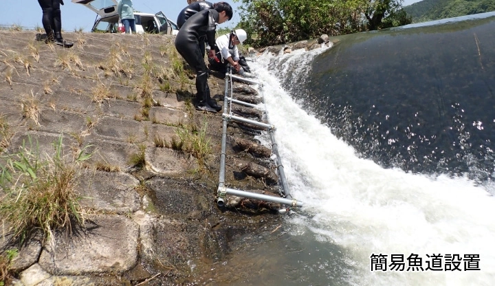簡易魚道設置