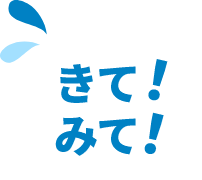 きて！みて！